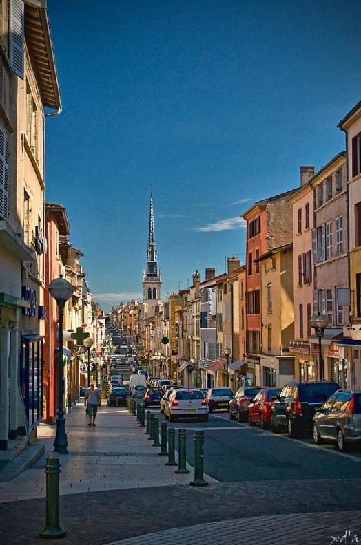 Le Cosy Shelby Proche Gare 150M Apartman Villefranche-sur-Saône Kültér fotó